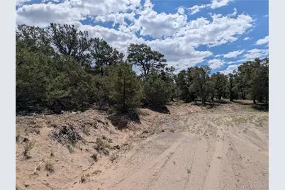 1842 Lone Pine Way, Crestone, CO 81131 - Photo 19