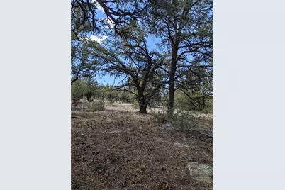 1842 Lone Pine Way, Crestone, CO 81131 - Photo 13