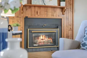 8324 S Upham Way, Littleton, CO 80128 - Photo 7