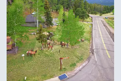 25070 Montane Drive, Golden, CO 80401 - Photo 49