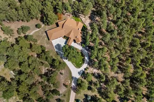 15984 Pole Pine Point, Colorado Springs, CO 80908 - Photo 41