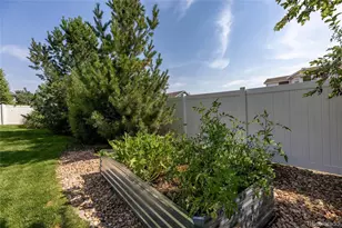 1107 Crescent Dr, Windsor, CO 80550 - Photo 33