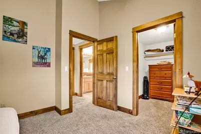 1881 River Drive, Alma, CO 80420 - Photo 33