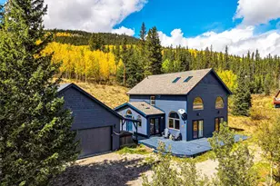 1881 River Dr, Alma, CO 80420 - Photo 3