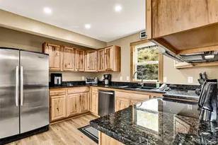 1881 River Dr, Alma, CO 80420 - Photo 9