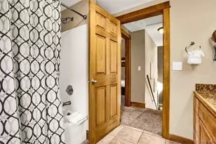 1881 River Dr, Alma, CO 80420 - Photo 37