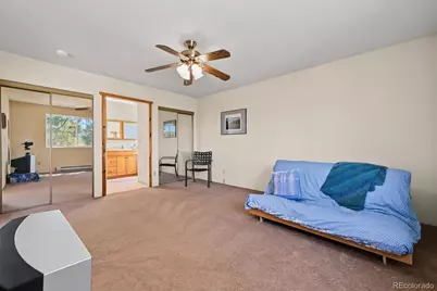 356 Iron Mountain Lane, Cotopaxi, CO 81223 - Photo 25