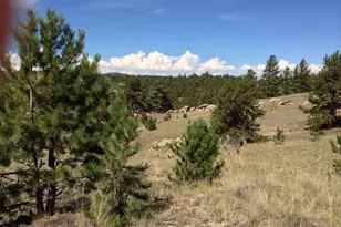 33 Jasper Way, Hartsel, CO 80449 - Photo 1