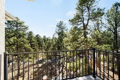 514 Prospect Drive, Castle Rock, CO 80108 - Photo 37