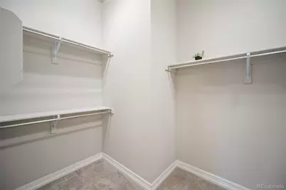 332 Alumroot Street, Castle Rock, CO 80104 - Photo 21