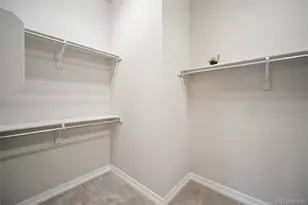 332 Alumroot St, Castle Rock, CO 80104 - Photo 21