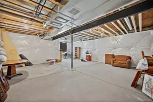 332 Alumroot St, Castle Rock, CO 80104 - Photo 31