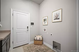 332 Alumroot St, Castle Rock, CO 80104 - Photo 25