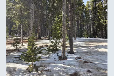 293 Beaver Road, Idaho Springs, CO 80452 - Photo 3