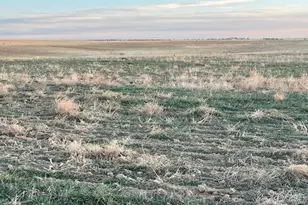 50800 E 104th Ave, Bennett, CO 80102 - Photo 1