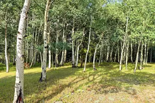 74 Silver Lode Cir, Dumont, CO 80436 - Photo 39