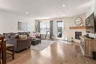 16216 Lanceleaf Pl, Parker, CO 80134 - Photo 11