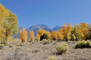 1279 Meadowlark Rd, Crestone, CO 81131 - Photo 5