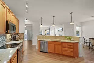 10588 Parkington Ln, Highlands Ranch, CO 80126 - Photo 11