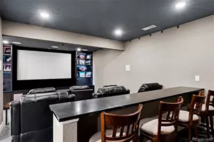 532 Woodroot Cir, Castle Rock, CO 80104 - Photo 23