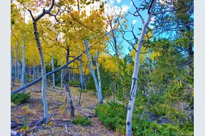 2000 Hard Hickory Trail, Guffey, CO 80820 - Photo 1