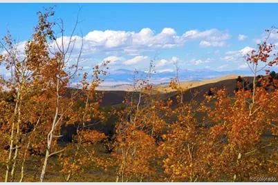 2000 Hard Hickory Trail, Guffey, CO 80820 - Photo 9