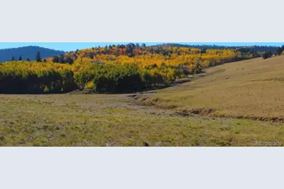 2000 Hard Hickory Trail, Guffey, CO 80820 - Photo 19