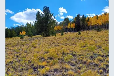 2000 Hard Hickory Trail, Guffey, CO 80820 - Photo 17