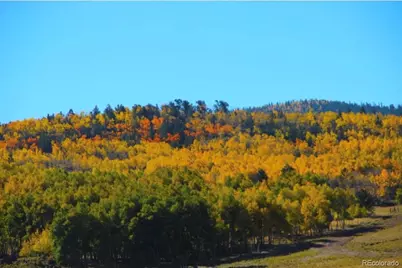2000 Hard Hickory Trail, Guffey, CO 80820 - Photo 23