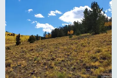 2000 Hard Hickory Trail, Guffey, CO 80820 - Photo 11