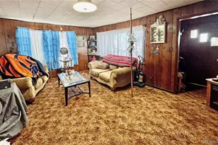 401 Stegosaurus, Dinosaur, CO 81610 - Photo 9