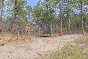 19795 Sleepy Hollow Rd, Monument, CO 80132 - Photo 47