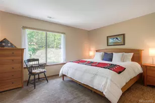 285 Kestrel Ln, Silverthorne, CO 80498 - Photo 13