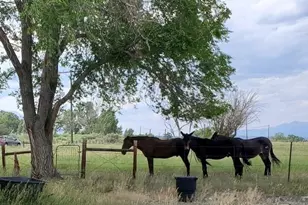 8650 US Hwy 285, Salida, CO 81201 - Photo 3