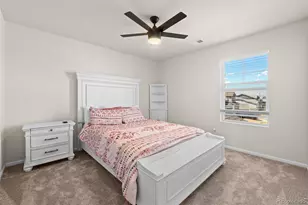 919 Goodrich Peak St, Erie, CO 80516 - Photo 29