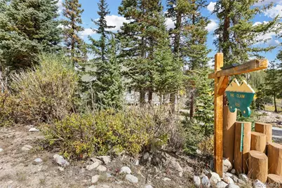 925 Gold Pan Lane, Fairplay, CO 80440 - Photo 47