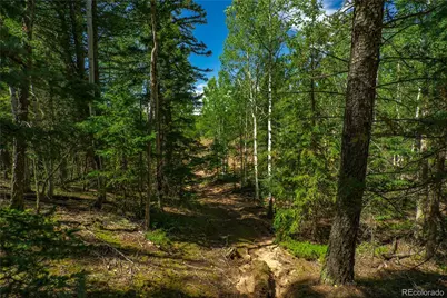 431 Cottonwood Lake Drive, Divide, CO 80814 - Photo 17