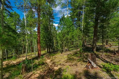 431 Cottonwood Lake Drive, Divide, CO 80814 - Photo 15