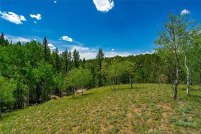 431 Cottonwood Lake Drive, Divide, CO 80814 - Photo 19