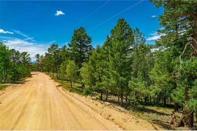 431 Cottonwood Lake Drive, Divide, CO 80814 - Photo 23