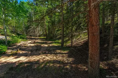 431 Cottonwood Lake Drive, Divide, CO 80814 - Photo 31