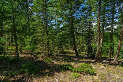 431 Cottonwood Lake Drive, Divide, CO 80814 - Photo 13