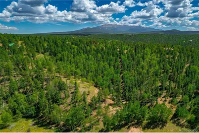 431 Cottonwood Lake Drive, Divide, CO 80814 - Photo 39