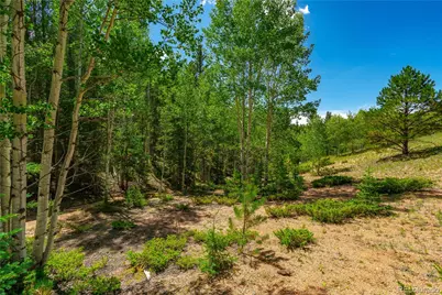 431 Cottonwood Lake Drive, Divide, CO 80814 - Photo 7