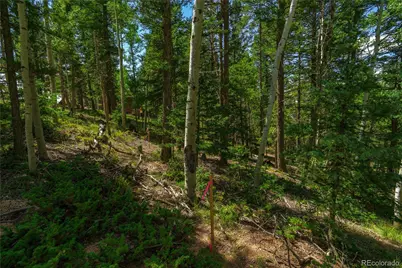 431 Cottonwood Lake Drive, Divide, CO 80814 - Photo 29