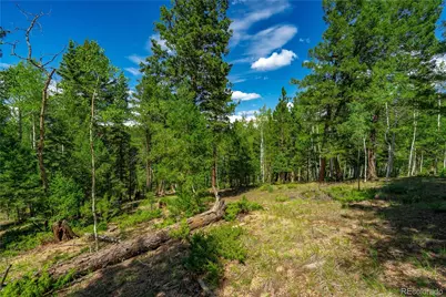 431 Cottonwood Lake Drive, Divide, CO 80814 - Photo 1