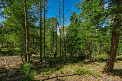 431 Cottonwood Lake Drive, Divide, CO 80814 - Photo 11