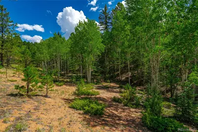 431 Cottonwood Lake Drive, Divide, CO 80814 - Photo 9