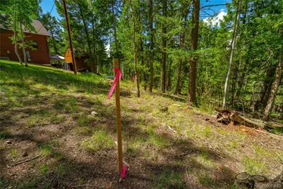 431 Cottonwood Lake Drive, Divide, CO 80814 - Photo 25