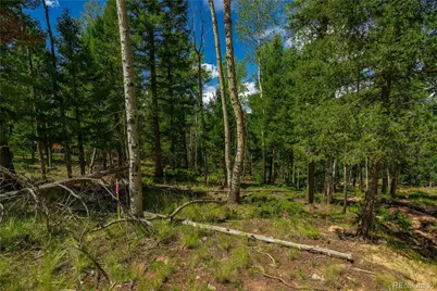 431 Cottonwood Lake Drive, Divide, CO 80814 - Photo 27